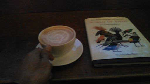 Coffee Shop «The Curly Wolf Espresso House», reviews and photos, 217 Broad St, Nevada City, CA 95959, USA