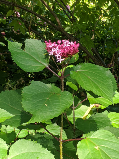 History Museum «Willamette Heritage Center», reviews and photos, 1313 Mill St SE, Salem, OR 97301, USA