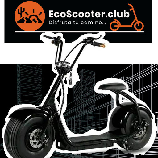 EcoScooter.club
