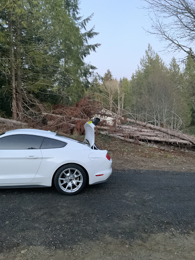 Ford Dealer «AutoNation Ford Bellevue», reviews and photos, 411 116th Ave NE, Bellevue, WA 98004, USA