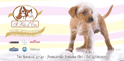 Pensioni per cani e dog hotel a Il pelo d'oro