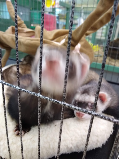 Pet Supply Store «Pet Supplies Plus», reviews and photos, 1960 Jericho Turnpike, East Northport, NY 11731, USA