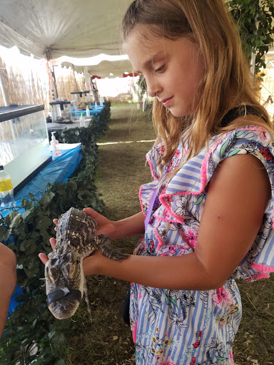 Fairground «Bangor State Fair», reviews and photos, 515 Main St, Bangor, ME 04401, USA