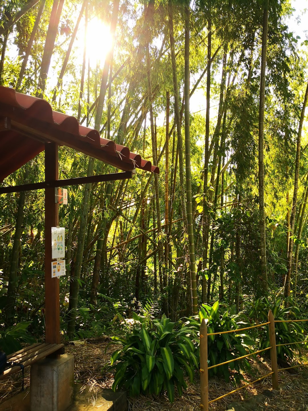 PARQUE NACIONAL DE LAS HELICONIAS CAICEDONIA VALLE