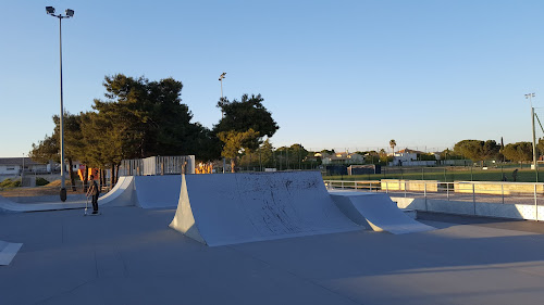 Skatepark de Vendargues à Vendargues