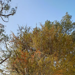 Photo n°4 de l'avis de Francesca.u fait le 30/01/2020 à 17:06 sur le  Cortona Resort - Villa Aurea à Cortona