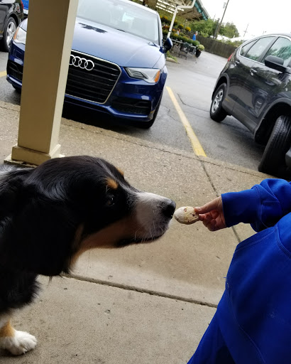 Pet Supply Store «Three Dog Bakery Inc», reviews and photos, 3929 Chenoweth Square, Louisville, KY 40207, USA