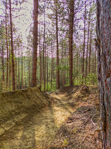 Sötétvölgy MTB Trail