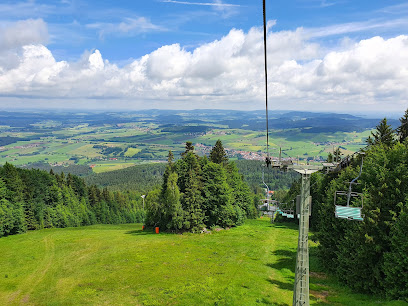 Sommerrodelbahn