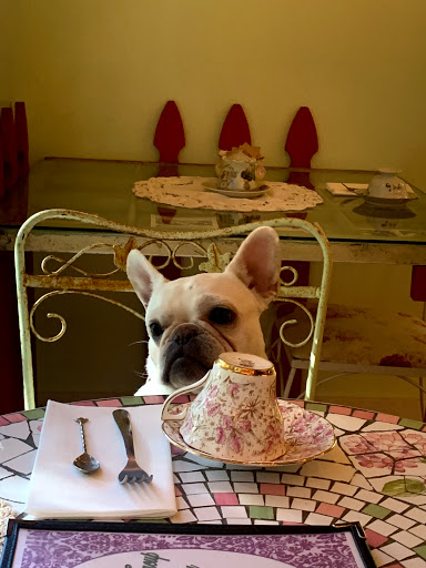 Tea House «The Tilted Teacup Tea Room and Boutique», reviews and photos, 103 S Saxon Ave, Brooksville, FL 34601, USA