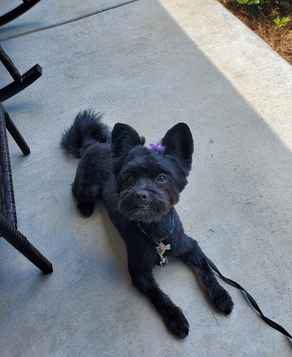 Pet Store «Pet Pizazz», reviews and photos, 1706 Mill Pond Rd, Conway, SC 29527, USA