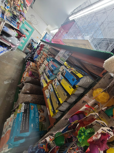 Pet Store «Southside Aquatics», reviews and photos, 2039 Pleasanton Rd, San Antonio, TX 78221, USA