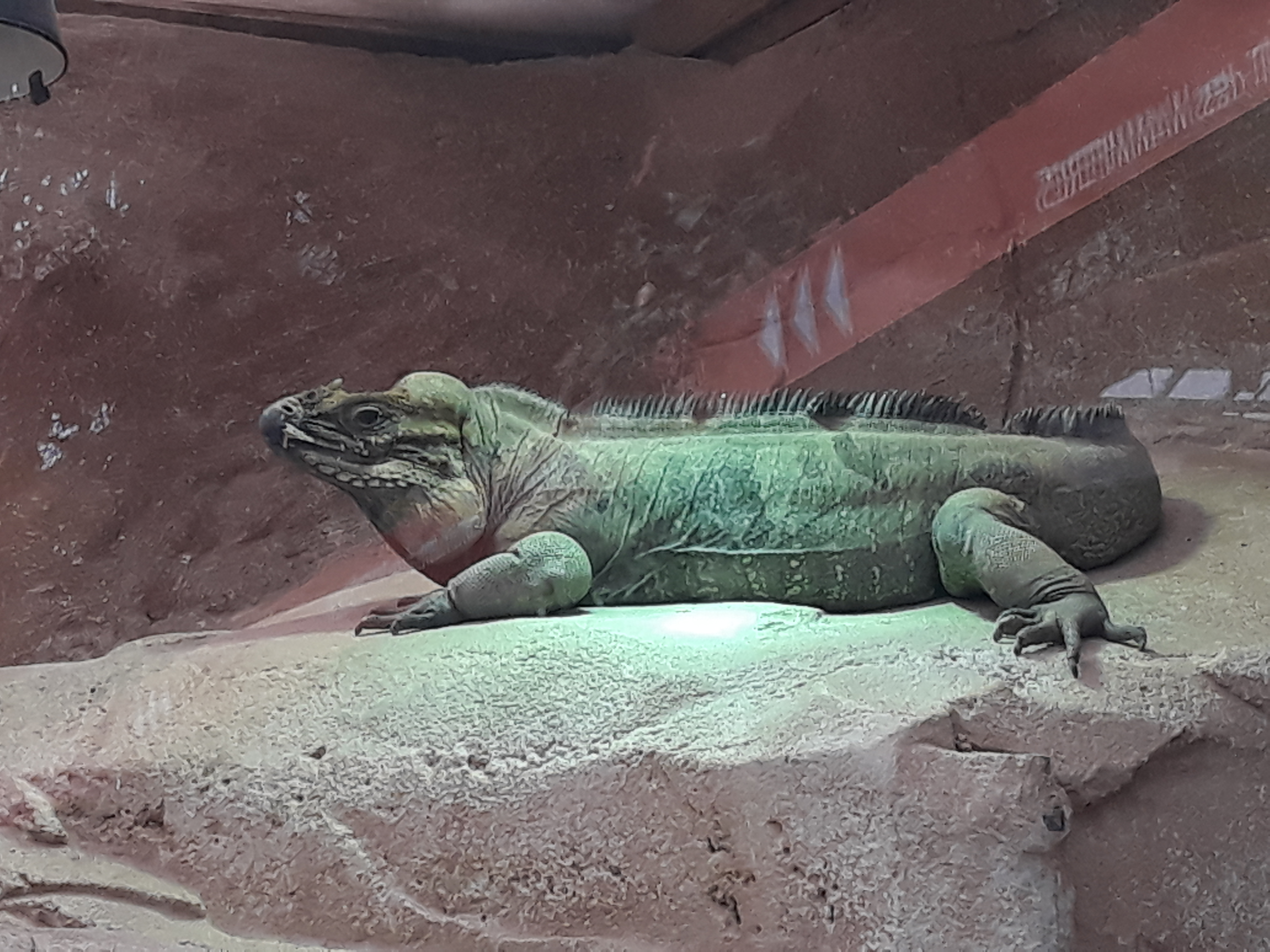 Photo n° 7 de l'avis de Estelle.o fait le 09/08/2018 à 10:25
