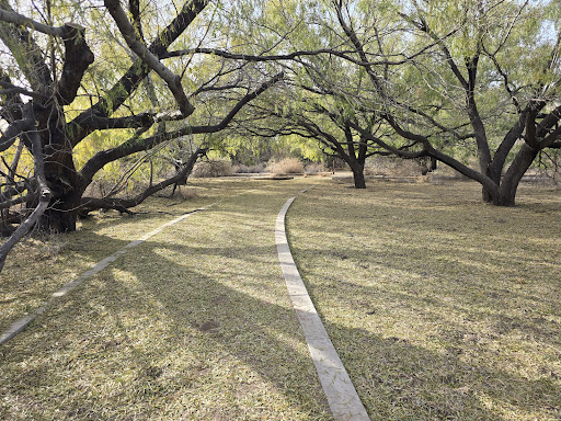 Bosque Park Windmill