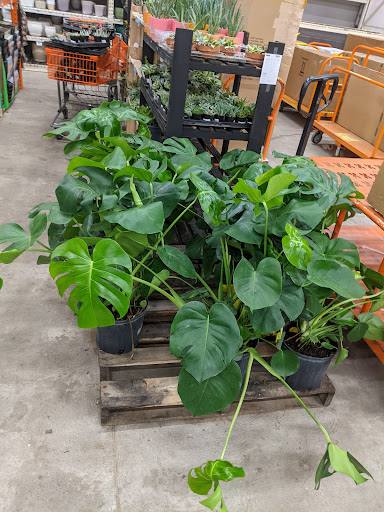 Home Improvement Store «The Home Depot», reviews and photos, 160 Laconia Rd, Tilton, NH 03276, USA