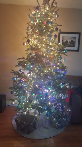 Shopping Mall «Addison Mall», reviews and photos, 2970 W Addison St, Chicago, IL 60618, USA