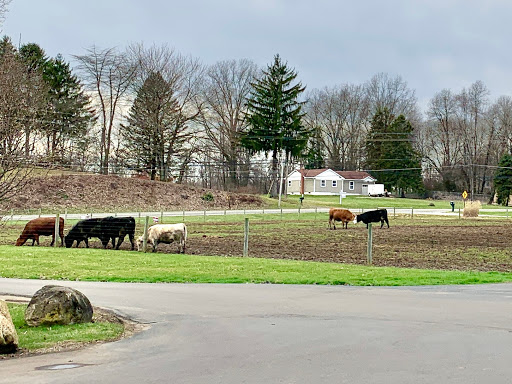 Butcher Shop «Duma Meats Inc», reviews and photos, 857 Randolph Rd, Mogadore, OH 44260, USA