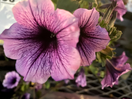 Home Improvement Store «The Home Depot», reviews and photos, 899 County St, Taunton, MA 02780, USA