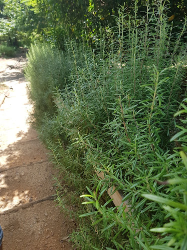 Les Jardins de Mazet à Monoblet