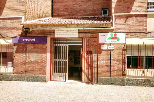 Organizaciones no gubernamentales Murcia