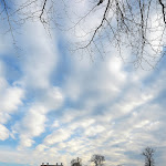 Photo n°7 de l'avis de Manfred.i fait le 15/12/2020 à 15:24 sur le  Château de Meseberg à Gransee