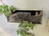 Ark Pest Management - Photo 3 - Car repair in , Long Beach