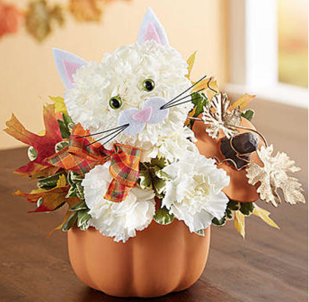 Cute Flowers & Gifts