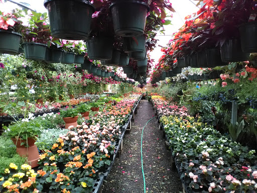 Garden Center «Quality Gardens», reviews and photos, 409 PA-228, Valencia, PA 16059, USA