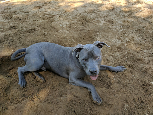 Park «Willis D. Tucker Community Park», reviews and photos, 6705 Puget Park Dr, Snohomish, WA 98296, USA