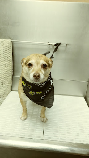 Pet Store «Pet Valu», reviews and photos, 2645 Shillington Rd, Sinking Spring, PA 19608, USA