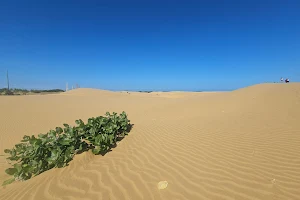 Dunes of Coro National Park image
