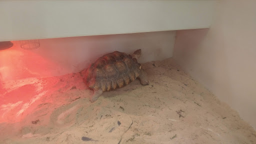 Pet Store «Fins Feathers Paws Claws», reviews and photos, 201 Station Rd, Quakertown, PA 18951, USA