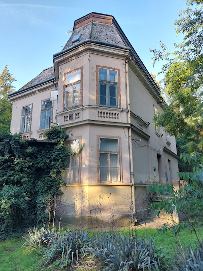 Régi Nagyerdei Villa
