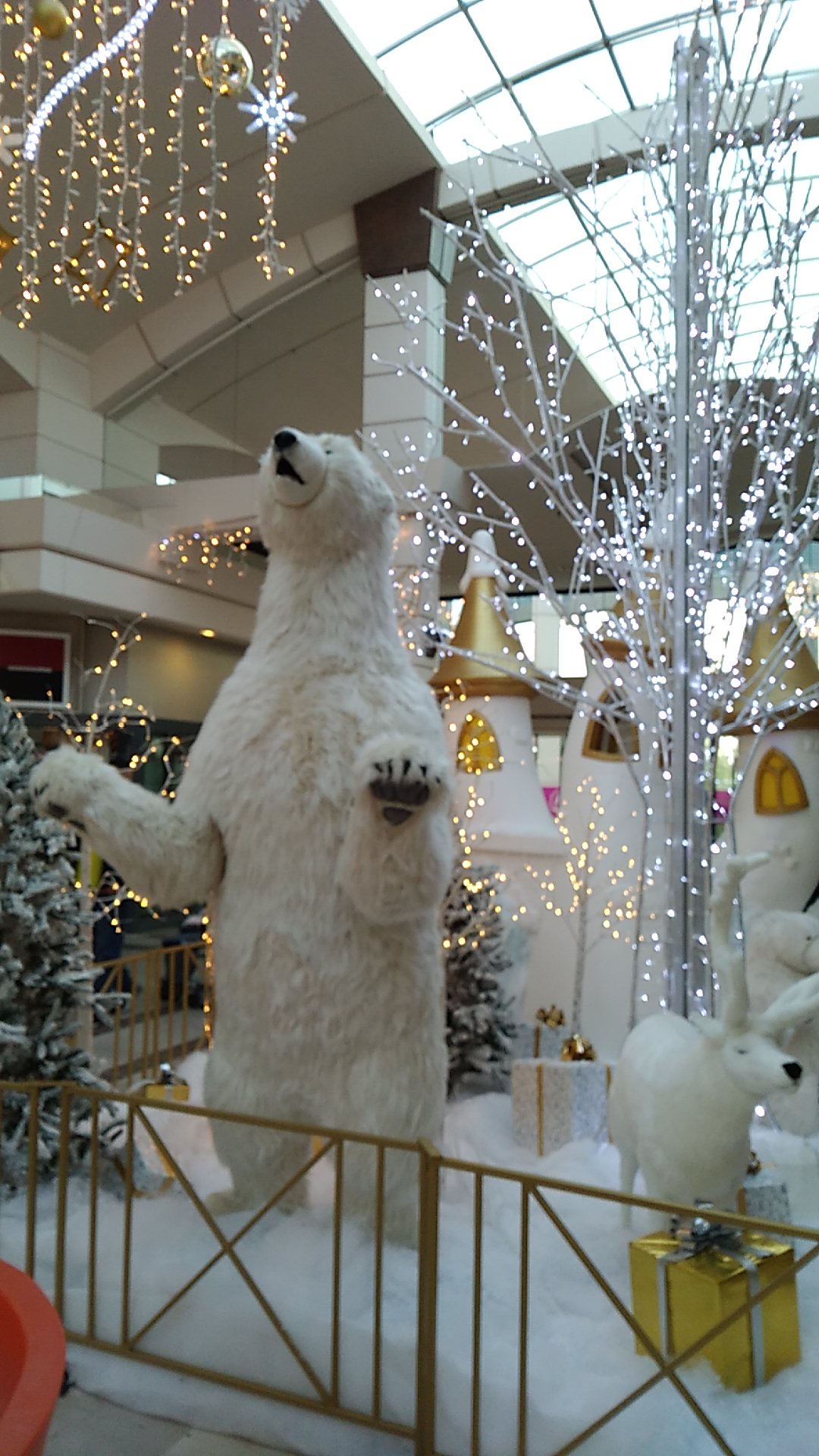 Photo n° 2 de l'avis de ludokatia.a fait le 01/10/2019 à 19:04