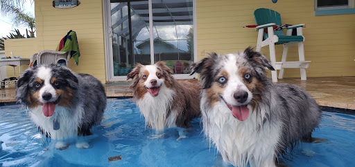 Atlantic Animal Hospital – Ormond Beach image