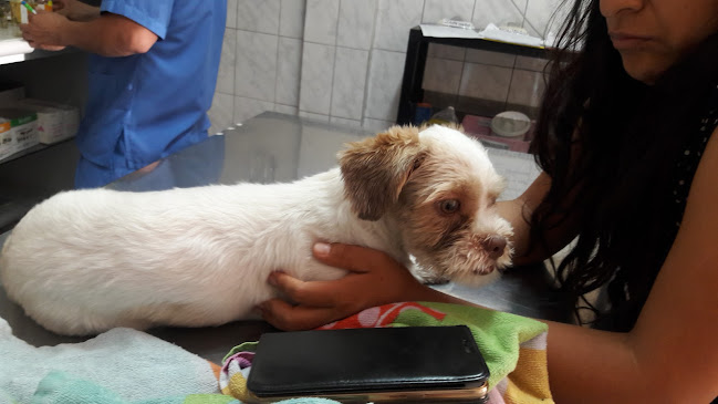 Clínica Veterinaria "Tilda" - Ate