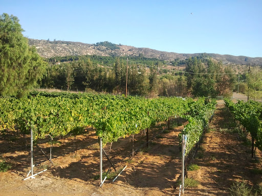 Espinosa Vineyards and Winery