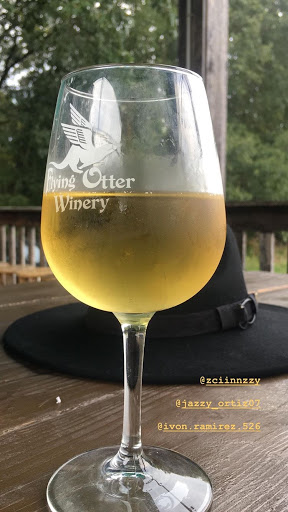Winery «Flying Otter Winery», reviews and photos, 3402 Chase Rd, Adrian, MI 49221, USA