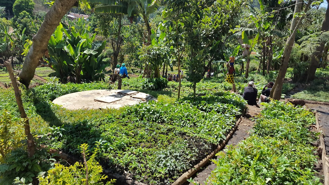 FoU Tree Nursery