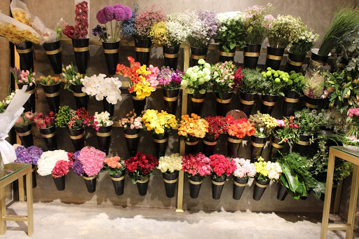 فلورز اند مور