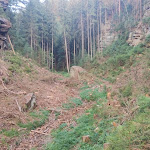 Photo n°6 de l'avis de Miroslav.i fait le 10/08/2023 à 05:18 sur le  Tank & Rast Raststätte Helmstedt Süd à Helmstedt