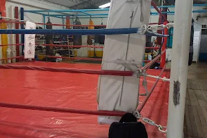 Liga De Boxeo Del Tolima image
