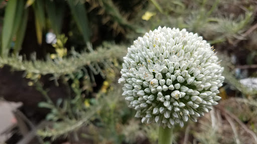 Hardware Store «Building Resources», reviews and photos, 701 Amador St, San Francisco, CA 94124, USA