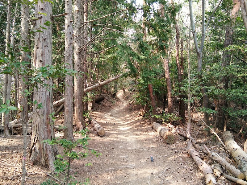 青松園第５号公園