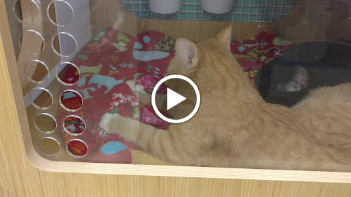 Pet Supply Store «Petco Animal Supplies», reviews and photos, 517 N 3rd Pl, Manhattan, KS 66502, USA