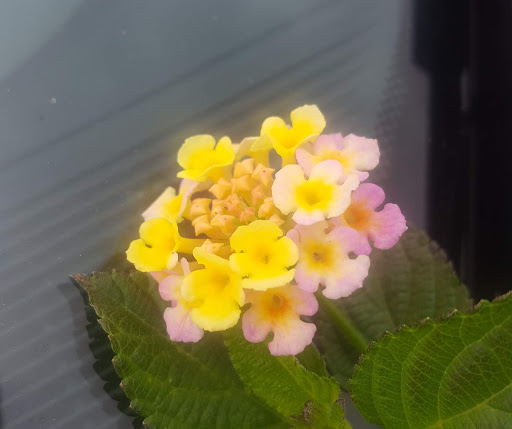 Event Venue «Bayou City Event Center», reviews and photos, 9401 Knight Rd, Houston, TX 77045, USA