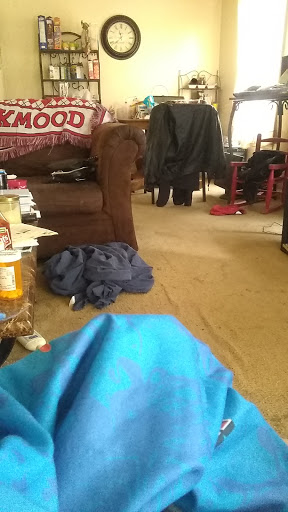 Gift Shop «The Mill», reviews and photos, 1101 Dover Rd, Clarksville, TN 37042, USA