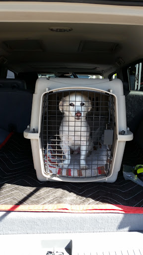 Pet Store «Pet Pals Discount Pet Foods & Supplies», reviews and photos, 3660 Soquel Dr, Soquel, CA 95073, USA