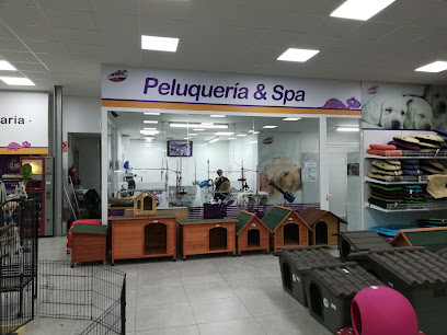 Madagascar Mascotas - Servicios para mascota en Alicante (Alacant)