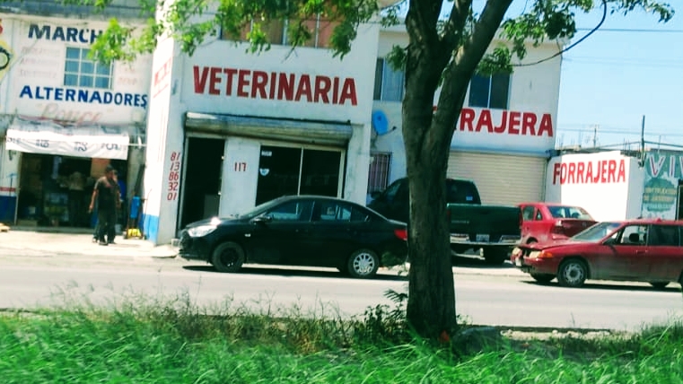 Foto de Veterinaria en Cd Gral Escobedo, Nuevo León